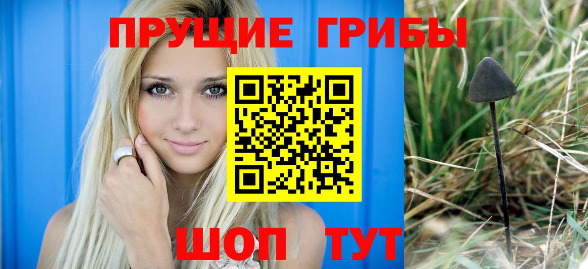Галлюциногенные грибы мухоморы  Галлюциногенные грибы MAGIC MUSHROOMS  Новоалександровск  Вход с VPN 